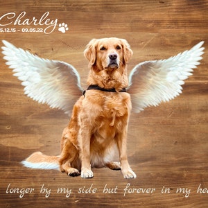 Dog Memorial Gift, Angel Pet w Wings Photo to Painting, Loss of Pet Memorial Gift, Custom Dog Remembrance, Pet Loss Gifts, dog sympathy gift image 1