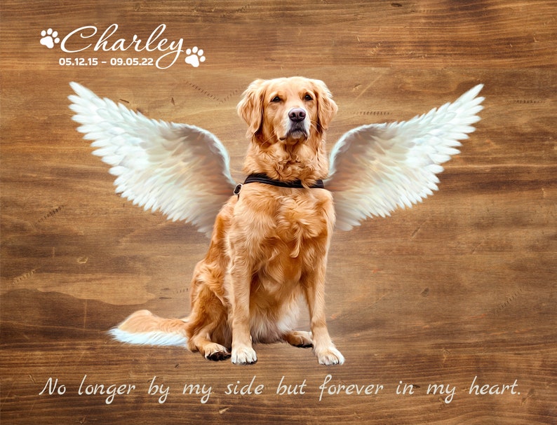 Dog Memorial Gift, Angel Pet w Wings Photo to Painting, Loss of Pet Memorial Gift, Custom Dog Remembrance, Pet Loss Gifts, dog sympathy gift imagen 1