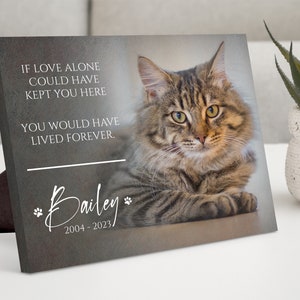 Custom Cat Memorial Gift, Pet Loss Gifts for Owner, Cat Memorial Frame, Cat Loss Gift, Cat Remembrance Print, Photo Memorial Canvas Wall Art image 1