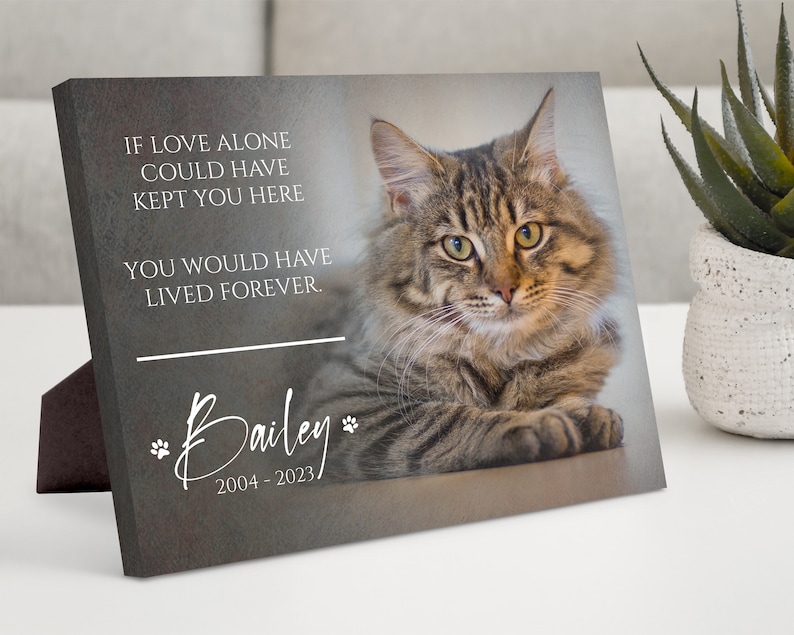 Custom Cat Memorial Gift, Pet Loss Gifts for Owner, Cat Memorial Frame, Cat Loss Gift, Cat Remembrance Print, Photo Memorial Canvas Wall Art image 1