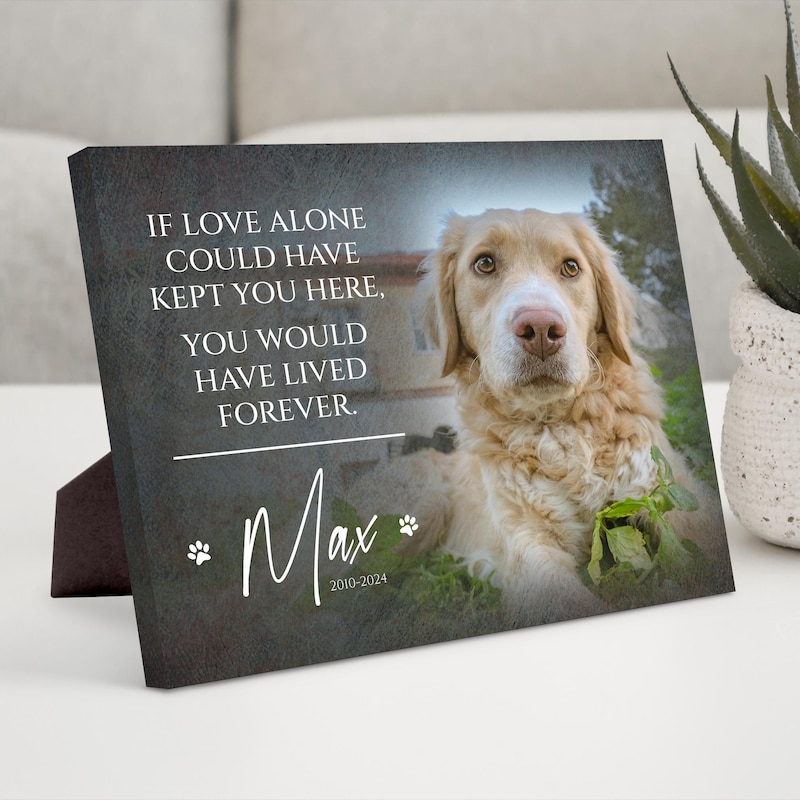 Custom Pet Memorial Gift, Dog Loss Gifts for Owner, Pet Memorial Frame w/ Photo & Quote, Cat Passed Away Remembrance Condolence Wall Decor