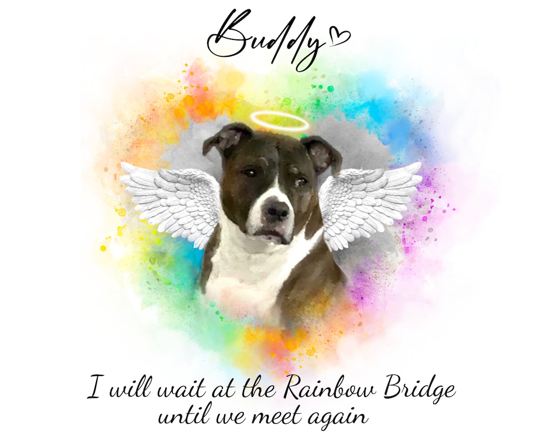 Angel Memoial Figuine Fo Dog Loss - Ainbow Bidge Pet