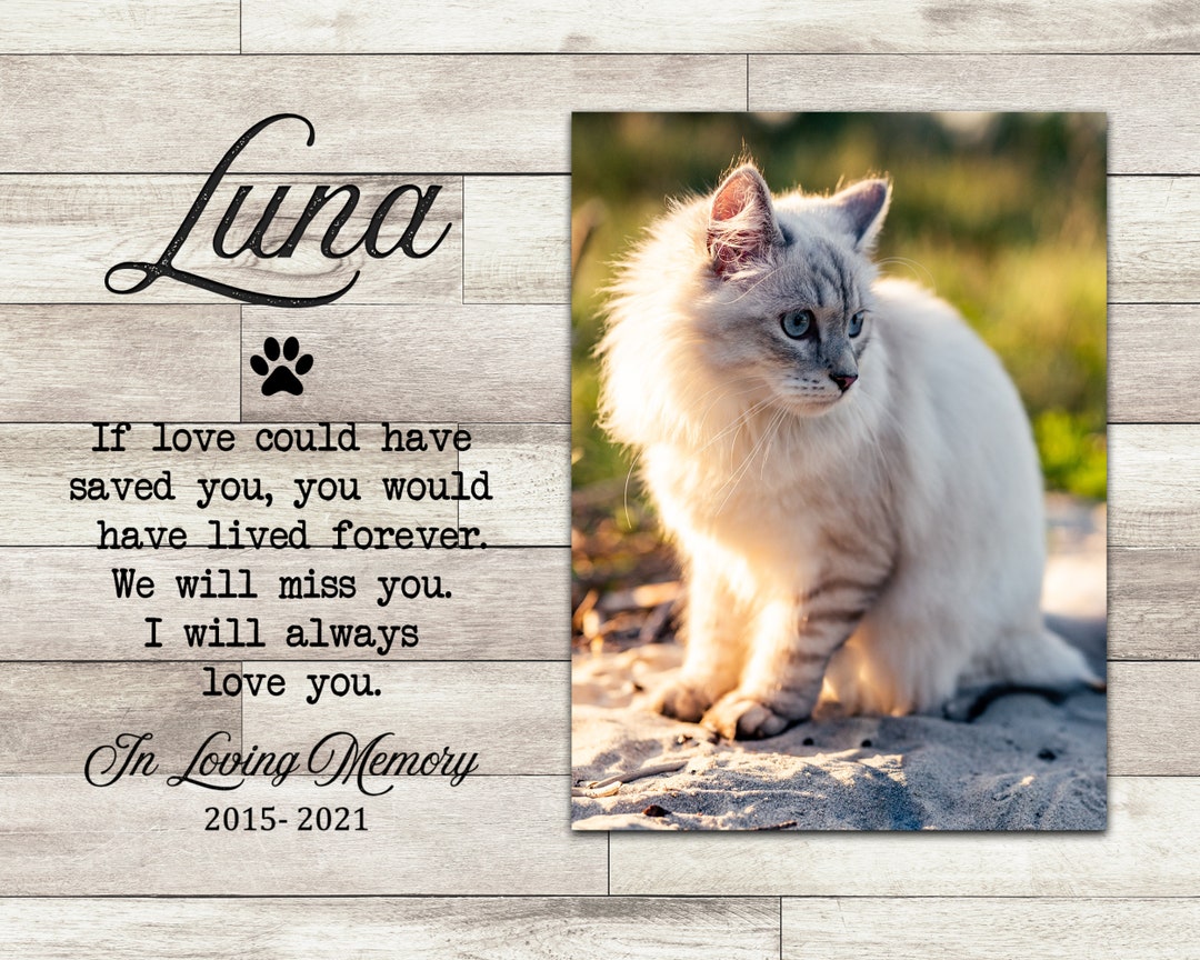 Cat Memorial Gift, Cat Memorial Quotes & Photo Canvas Print, Pet