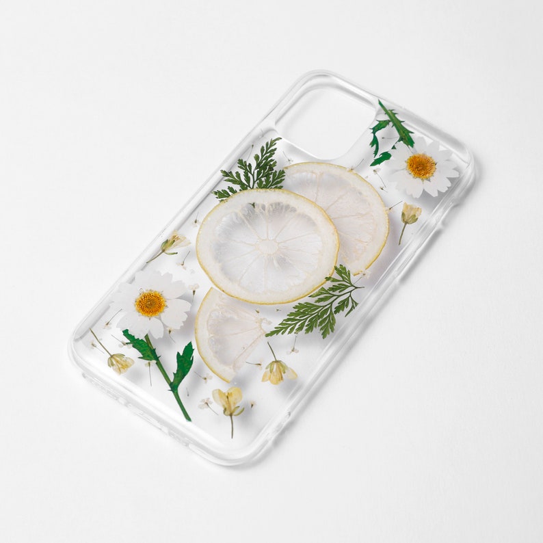 iphone 12 11 pro max case,Real pressed Fruit Case,Samsung galaxy S20 S21 Plus case,galaxy S20 Ultra case,iphone XR Case,Samsung Note20 Case