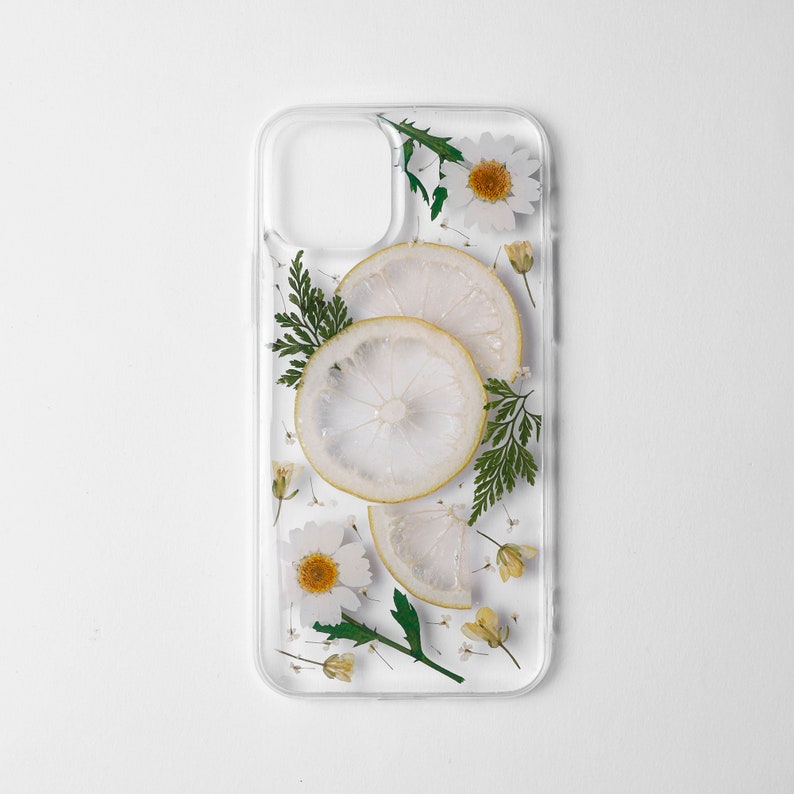 iphone 12 11 pro max case,Real pressed Fruit Case,Samsung galaxy S20 S21 Plus case,galaxy S20 Ultra case,iphone XR Case,Samsung Note20 Case