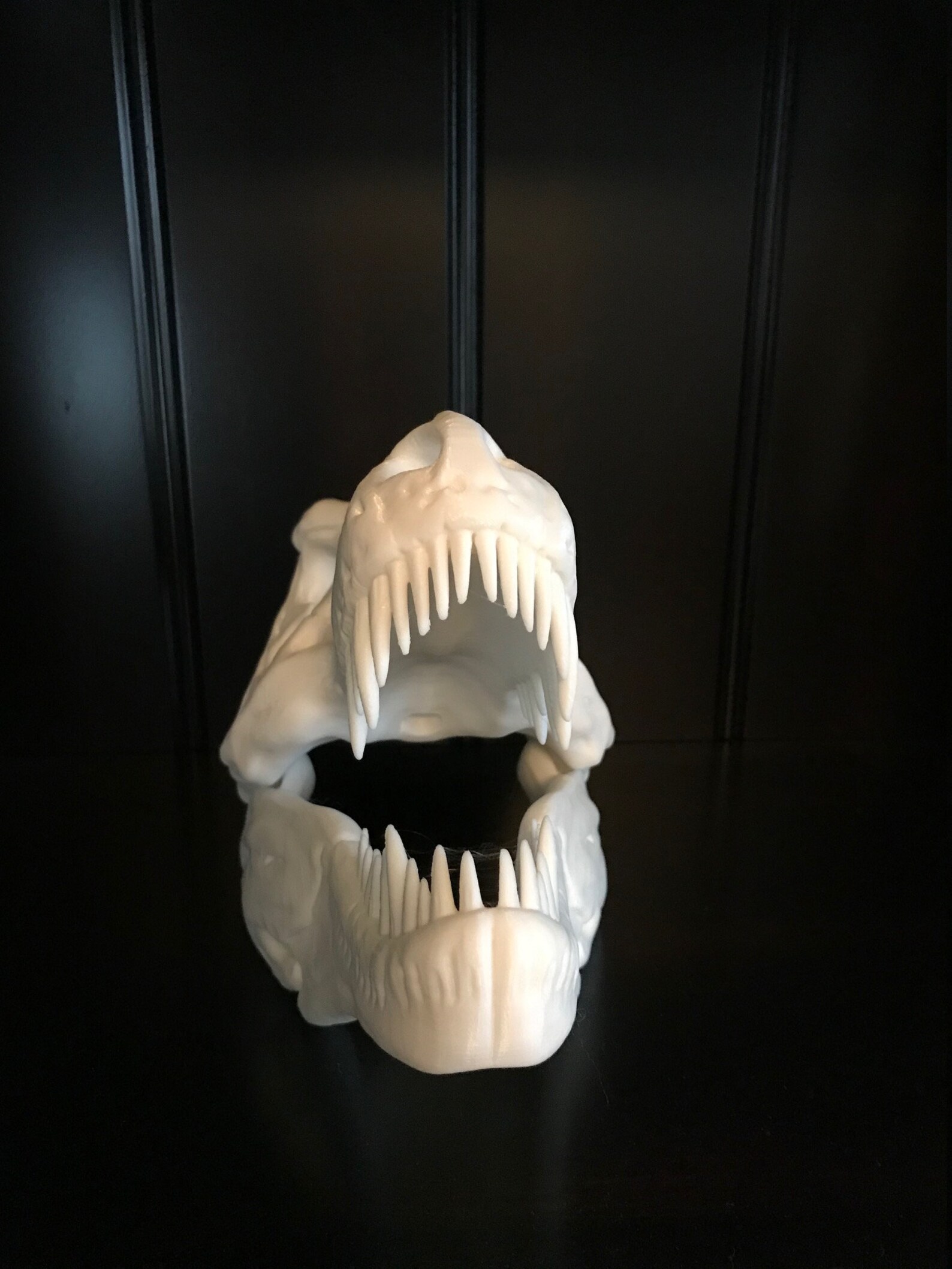 t rex skull 3d