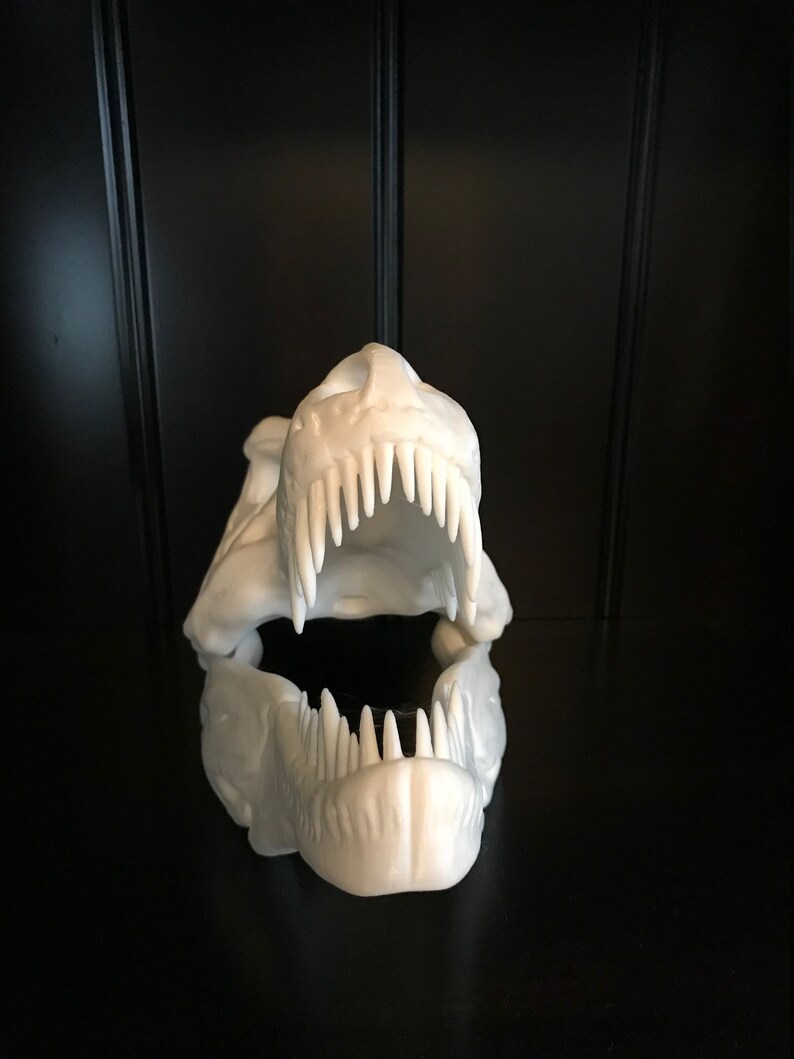 large t rex skull