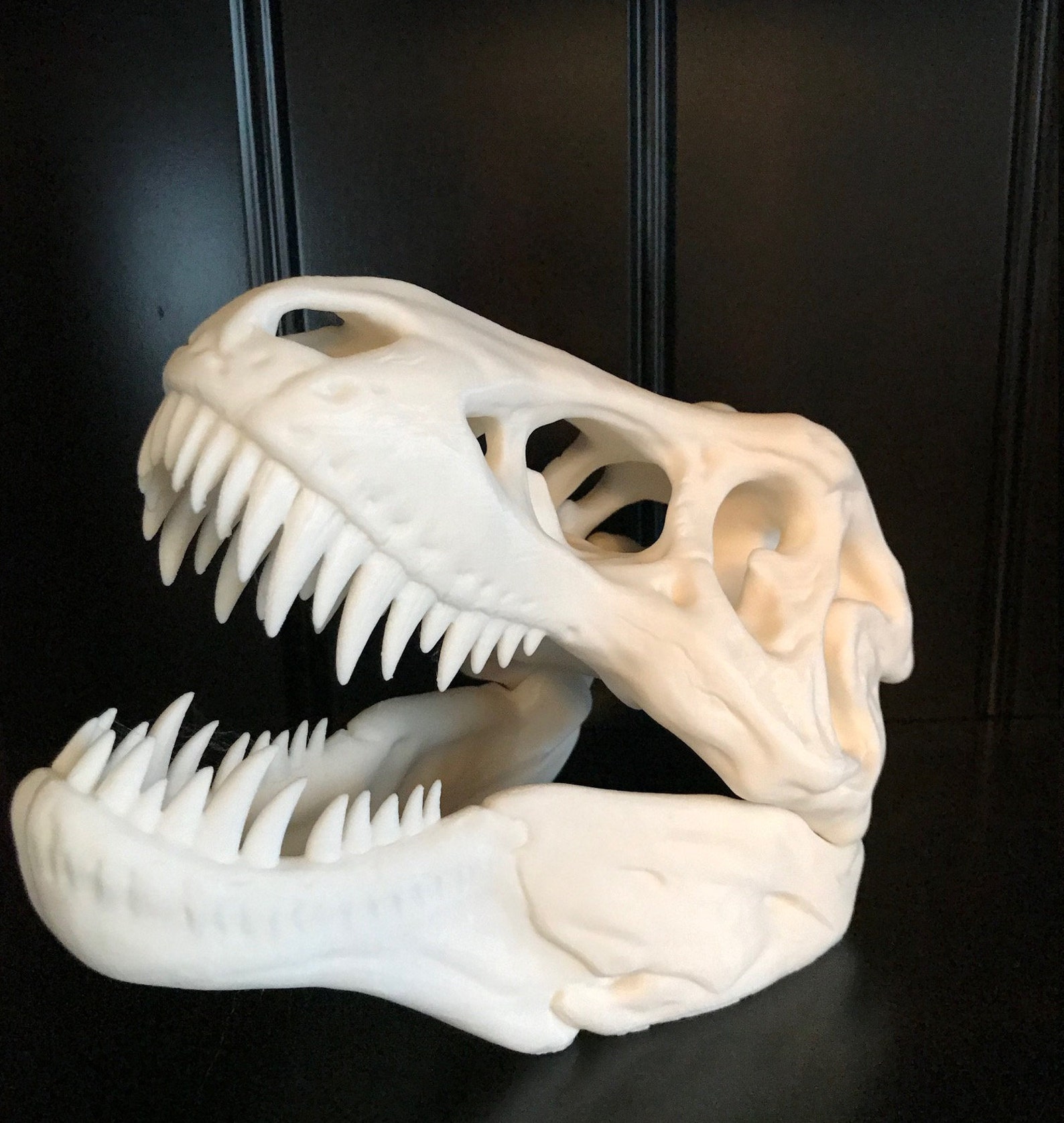 t rex skull 3d