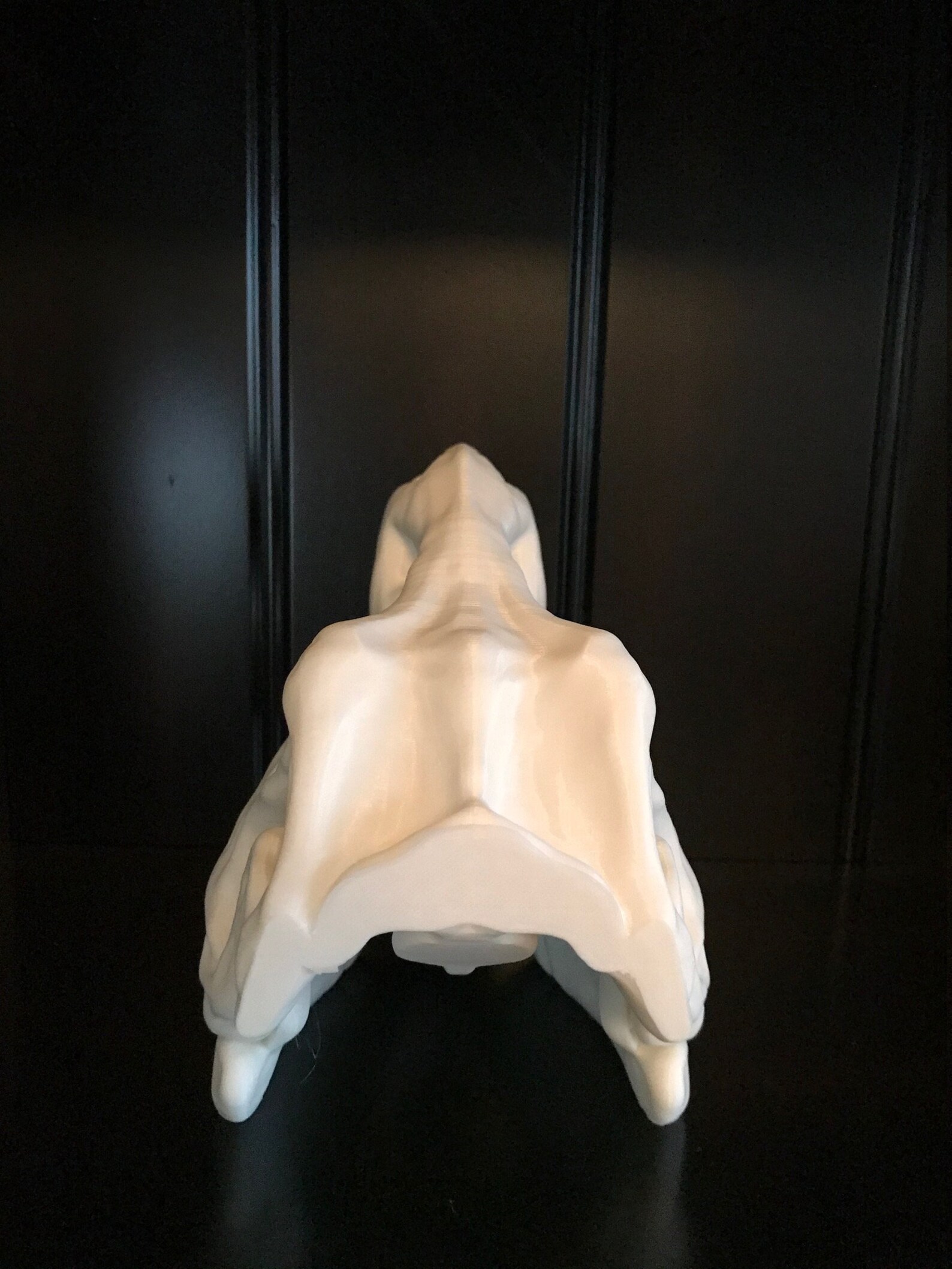large t rex skull