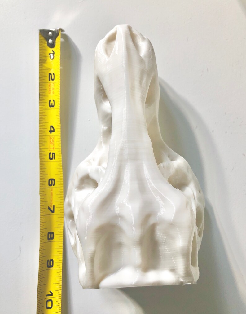 large t rex skull