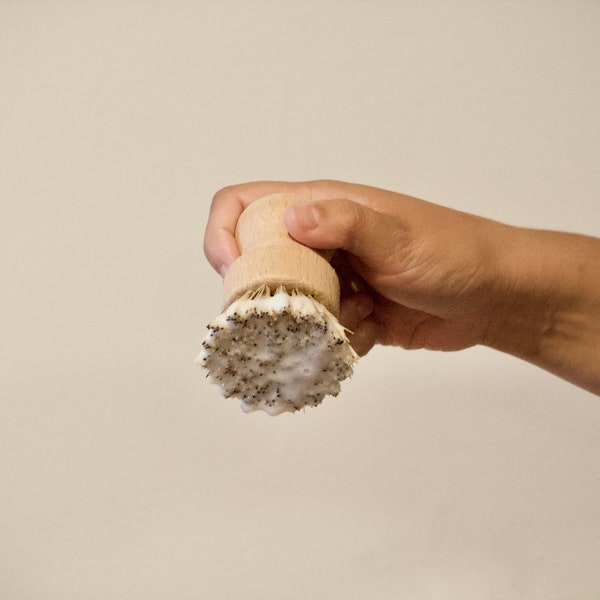 Zero Waste Dish Brush - Lavadores de madera y sisal Pot – Esponja de limpieza de cocina ecológica
