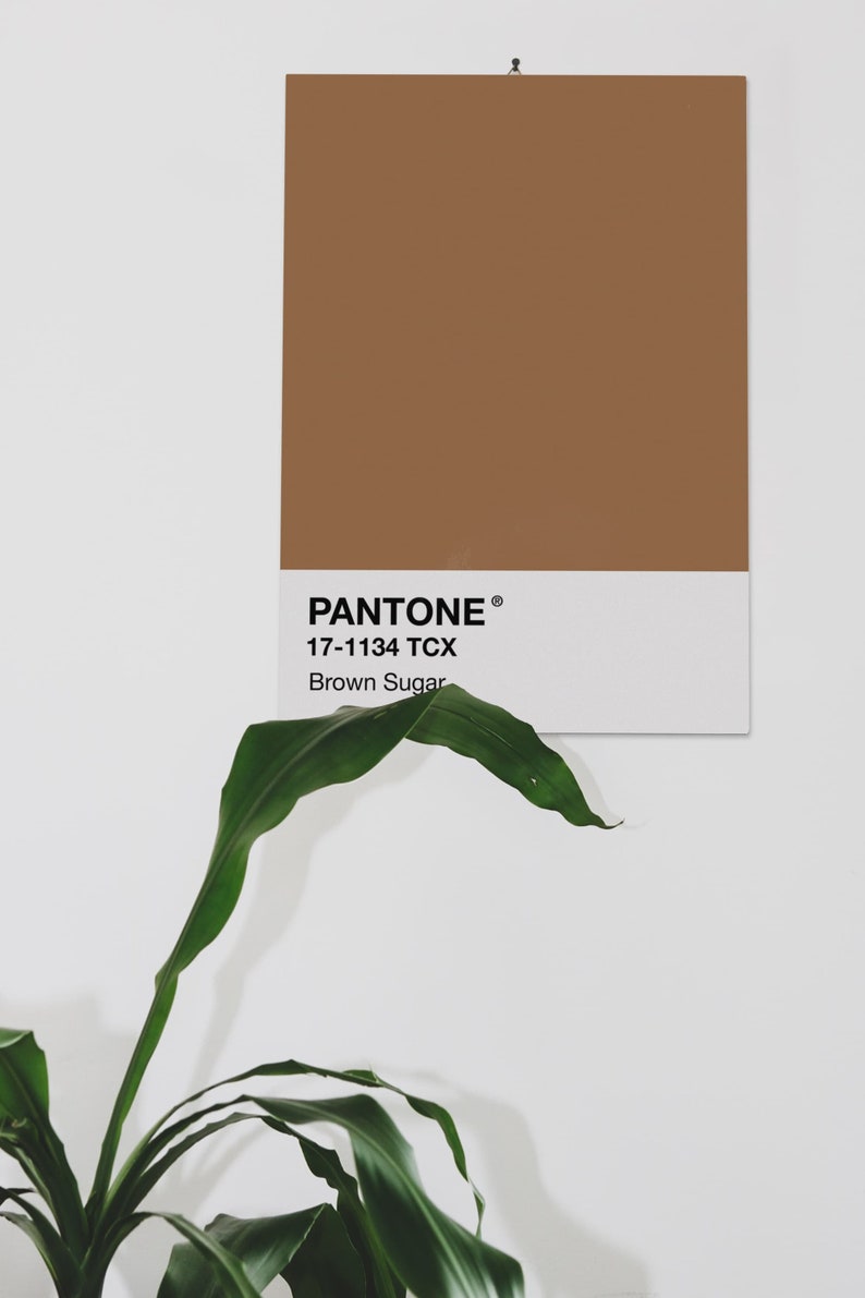 Pantone Brown Sugar Print INSTANT DOWNLOAD Pantone Brown | Etsy