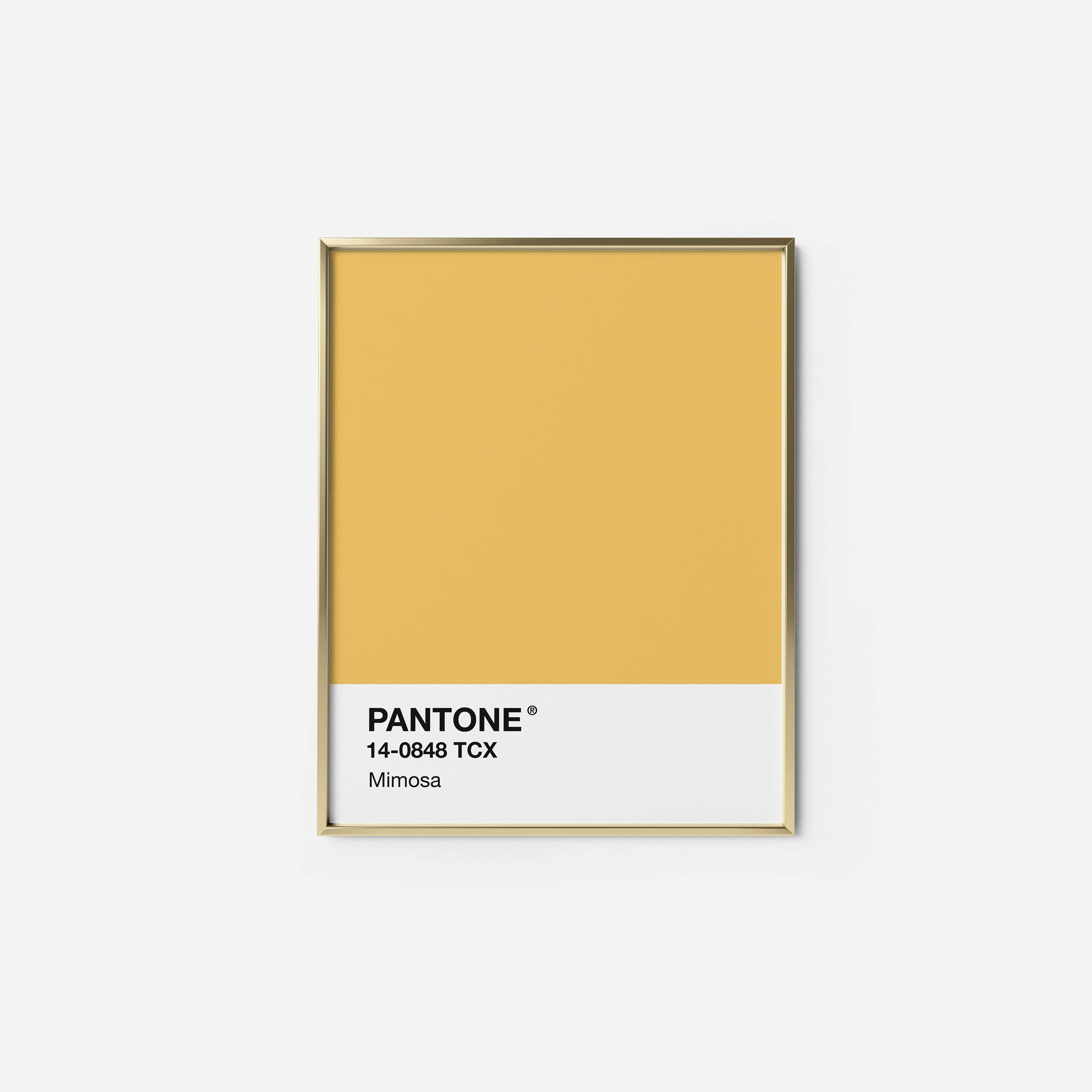 Pantone Mimosa Print INSTANT DOWNLOAD Pantone Mimosa Wall Etsy