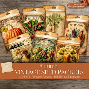 May include: A collection of vintage-style seed packets featuring illustrations of pumpkins, beets, corn, and gourds. The packets are labeled with text such as "Heirloom," "Beets," and "Indian Corn." The image includes the text "Autumn Vintage Seed Packets."