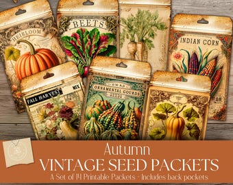 Pode incluir: Uma coleção de pacotes de sementes em estilo vintage com ilustrações de abóboras, beterrabas, milho e cabaças. Os pacotes são rotulados com textos como "Heirloom", "Beets" e "Indian Corn". A imagem inclui o texto "Autumn Vintage Seed Packets."