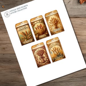 Digital printable autumn seed packet collection featuring vintage-inspired designs with pumpkins, sunflowers, acorns, falling leaves, and cozy seasonal motifs. Perfect for junk journaling, scrapbooking, card making, and creative DIY crafts. Each printable seed packet template includes distressed textures, warm rustic tones, and antique-style typography for a charming autumn harvest aesthetic. Instant download, high-resolution printable files.