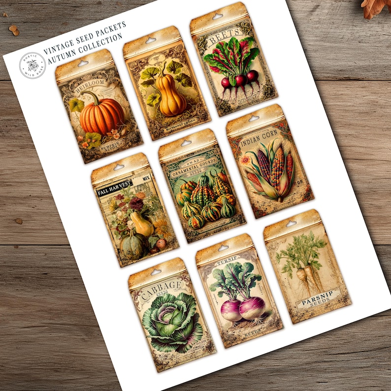 Digital printable autumn seed packet collection featuring vintage-inspired designs with pumpkins, sunflowers, acorns, falling leaves, and cozy seasonal motifs. Perfect for junk journaling, scrapbooking, card making, and creative DIY crafts. Each printable seed packet template includes distressed textures, warm rustic tones, and antique-style typography for a charming autumn harvest aesthetic. Instant download, high-resolution printable files.