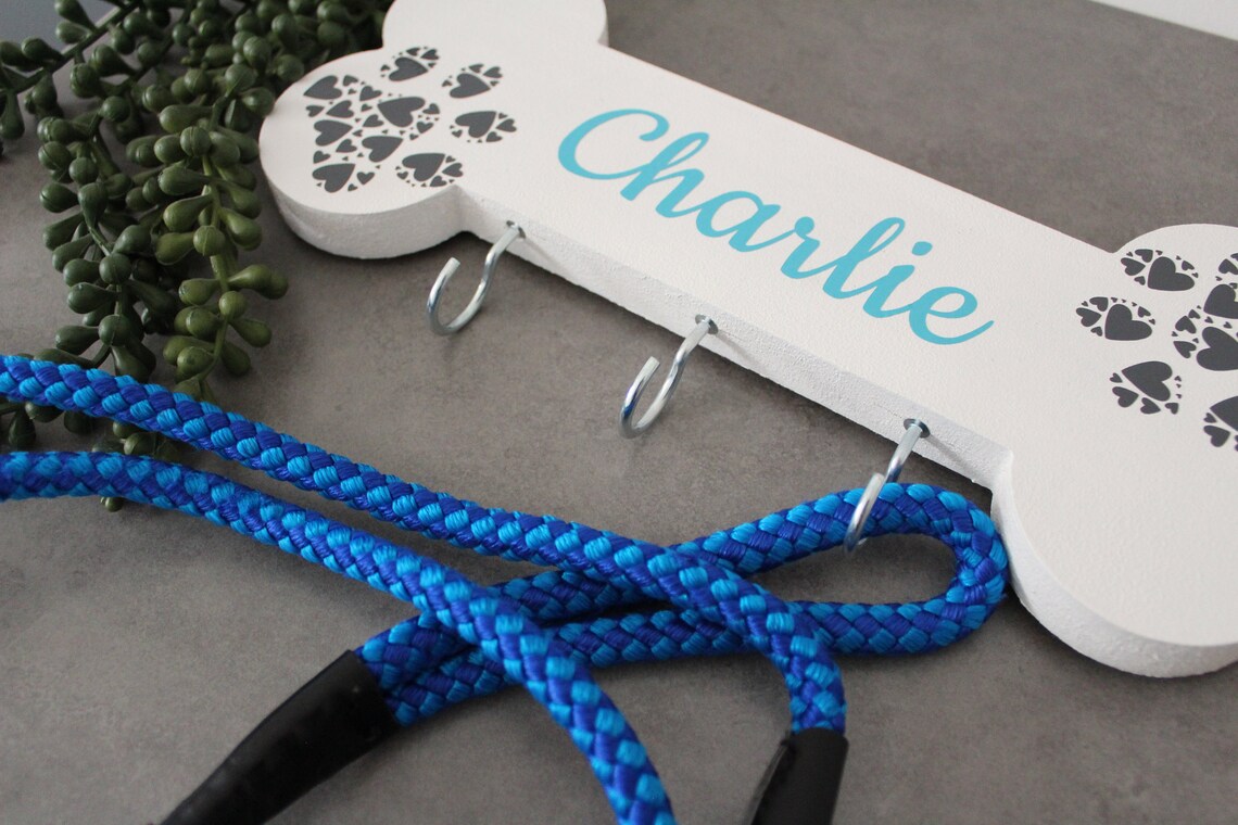 Crochet Murale Pour Laisse De Chien - Acier Inoxydable, Antirouille, Pour Maison/Garage