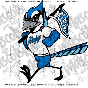 Bluejay Mascot in Vector, Jpeg, png, pdf, eps, svg