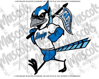 Mascota Bluejay en vectores, Jpeg, png, pdf, eps, svg