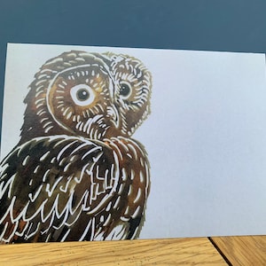 Brown owl card,British  Wildlife theme illustrated Brown owl. Bird art blank card.