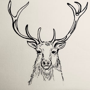 Stag for the weekend