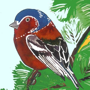 Chaffinch art,British Bird ART. Sweet Illustrated Print of a Chaffinch A5 print