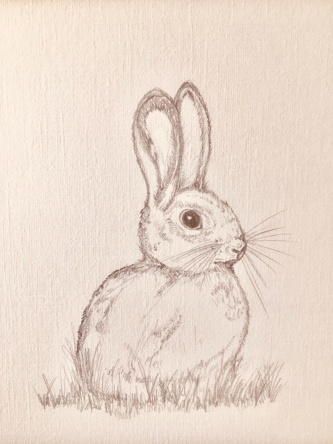 Rabbit Realistic Color Pencil Sketch Greeting Card by Sketches In