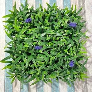 Hermit Crab Climbing Wall 20x20 Grass& Lavender