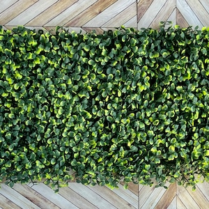 Hermit Crab Climbing Wall 10x20 Mild Green