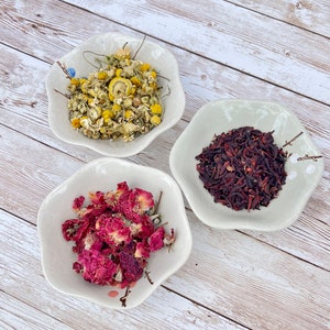 Flower Power 3 Pack Hermit Crab Food