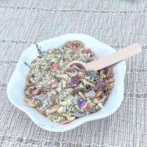 May include: A white, scalloped-edge bowl filled with a mix of dried insects, seeds, and colorful plant matter. A small wooden spoon rests in the bowl. The bowl sits on a textured, off-white surface.