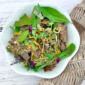 Fresh Off The Limb Foraging Mix Hermit Crab Food