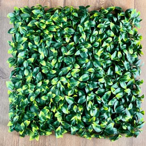 Hermit Crab Climbing Wall 10x10 Leaf Wall