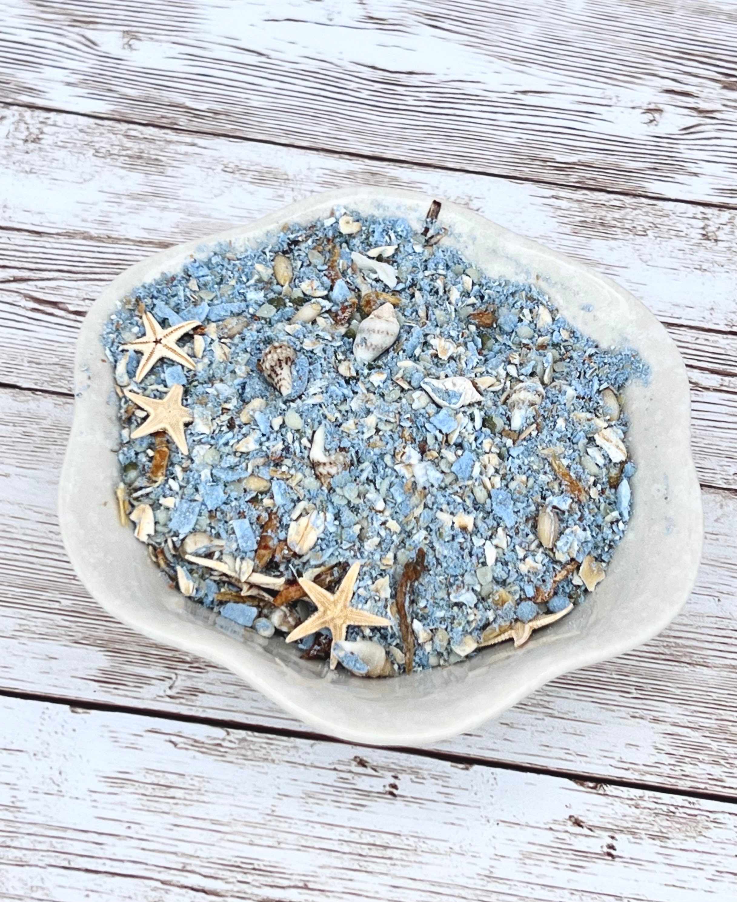 Blue Lagoon Hermit Crab Food
