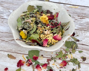 Fabulous Foraging Mix Hermit Crab Food