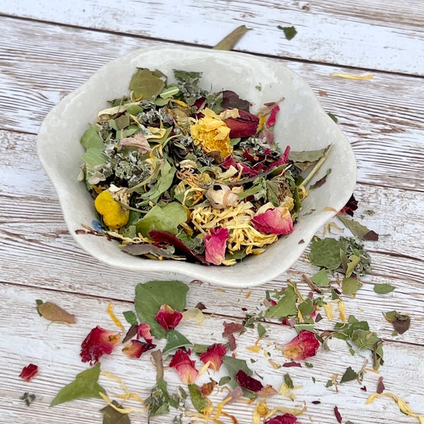 Fabulous Foraging Mix Hermit Crab Food