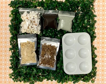 Hermit crab starter set w/ climbing wall