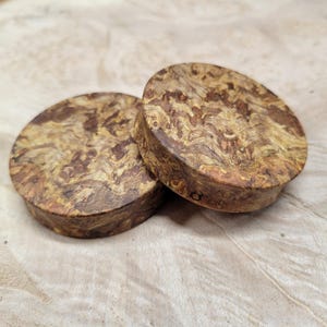 Pair of Chechen Burl Wood Plugs Double Flare Gauges Wooden Earrings Jewelry Organic Wood Stretchers