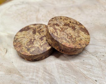 Pair of Chechen Burl Wood Plugs Double Flare Gauges Wooden Earrings Jewelry Organic Wood Stretchers