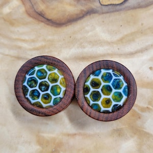 1&quot; (25mm) Honeycomb Inlay Plugs made with Chechen Wood Plugs Gauges