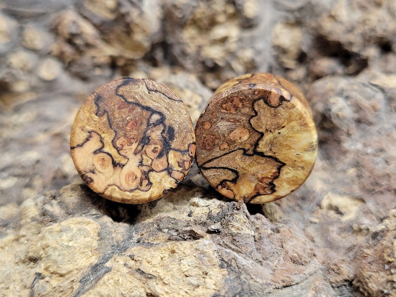 May include: Two wooden ear plugs with a natural, organic pattern. The plugs are round with a light brown base color, and feature dark brown and reddish-brown veining. The wood grain is visible, creating a unique, natural look.