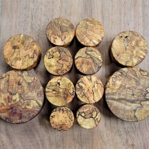 May include: A collection of wooden plugs in various sizes, showcasing a natural wood grain pattern with shades of brown, tan, and black. The plugs are arranged on a wooden surface, highlighting their circular shape and unique textures.