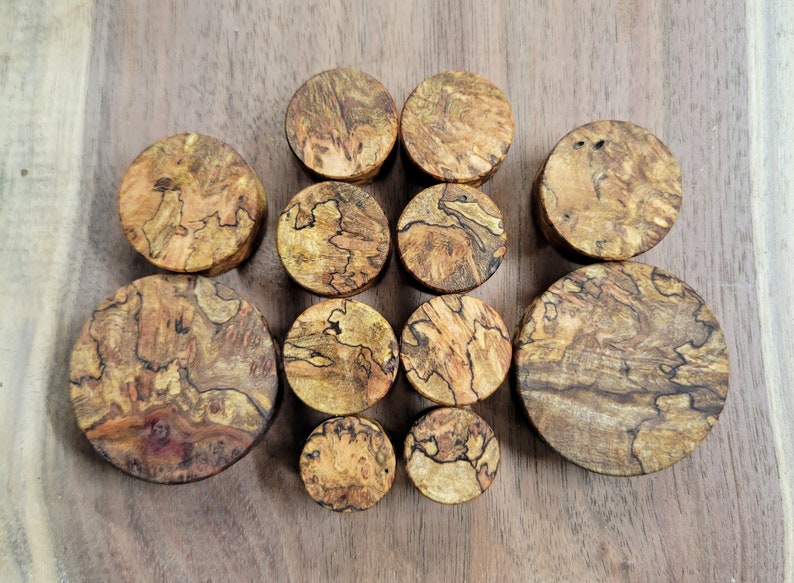 May include: A collection of wooden plugs in various sizes, showcasing a natural wood grain pattern with shades of brown, tan, and black. The plugs are arranged on a wooden surface, highlighting their circular shape and unique textures.