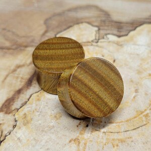 Pair of Verawood Plugs Double Flare Gauges Wooden Earrings Jewelry Organic Wood Stretchers