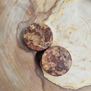 May include: Two round wooden plugs with a natural burl wood grain pattern. The plugs are brown and tan, with a visible wood grain texture. They are displayed on a light brown wooden surface.