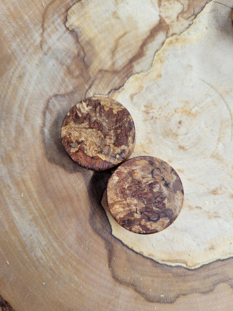 May include: Two round wooden plugs with a natural burl wood grain pattern. The plugs are brown and tan, with a visible wood grain texture. They are displayed on a light brown wooden surface.