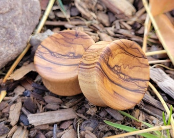 Pair of Concave Bethlehem Olivewood Plugs Double Flare Gauges Wooden Earrings Jewelry Oragnic Wood Stretchers