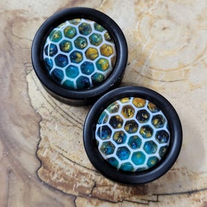May include: A pair of black wood ear gauges with a honeycomb pattern in shades of blue, gold, and white.