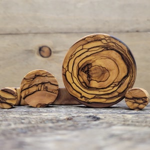 May include: Four wooden ear gauges of varying sizes, made from olive wood with a natural brown and black grain pattern.